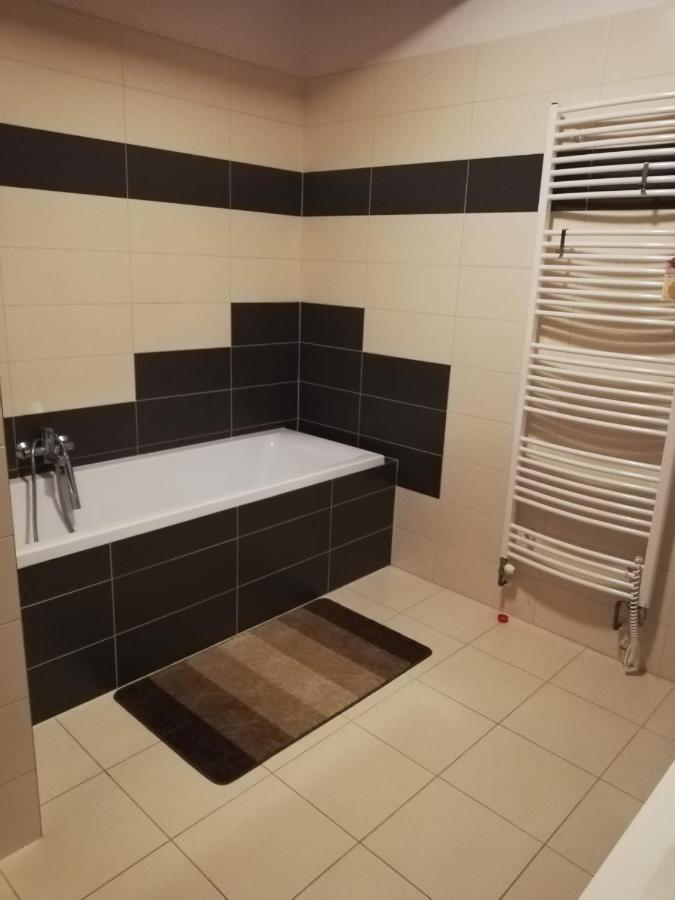 Anicka Apartment Nova Paka